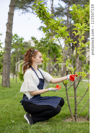 Side view of girl with red hair working in garden, touching bushes. Concept of taking care of nature. 113507139