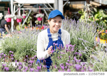 Young woman saleswoman with lavender in store 113507569