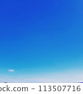 燦爛的藍天 113507716