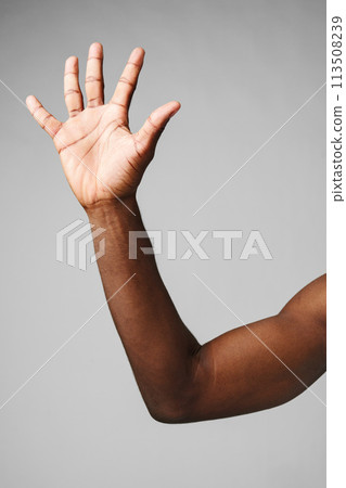 Mans Arm Raised in the Air 113508239