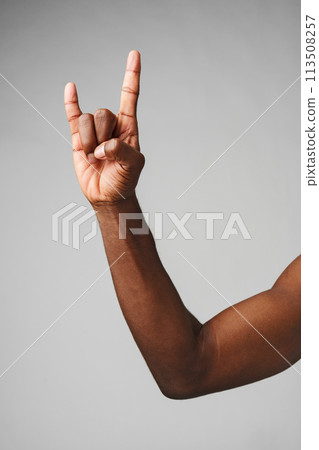 Hand Making the Rock N Roll Sign Against a Plain Gray Background Hand Making the Rock N Roll Sign Against a Plain Gray Background 113508257