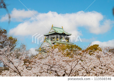 Spring Osaka Castle and Sakura Spring Osaka Castle and Sakura 113508546