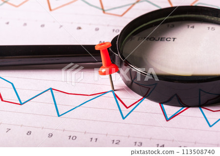 Magnifying glass and business growth graph Magnifying glass and business growth graph 113508740