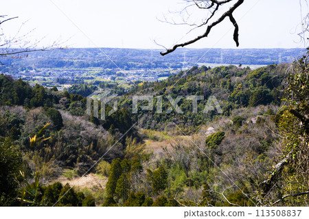 從山頂眺望 113508837