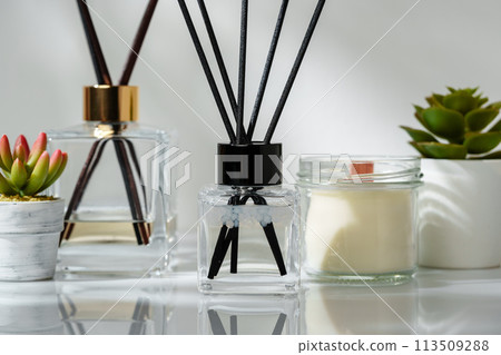 Elegant Home Fragrance Reed Diffuser Displayed Beside Scented Candles and Succulents 113509288