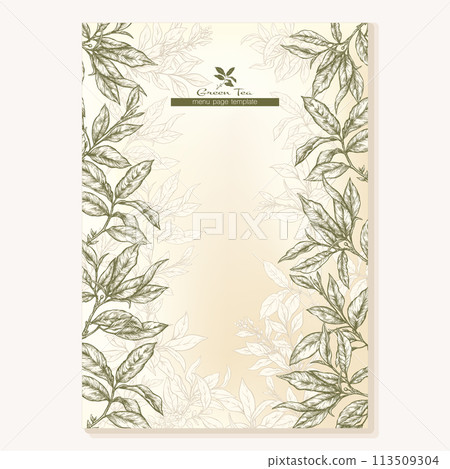 Green tea branch with leaves  113509304