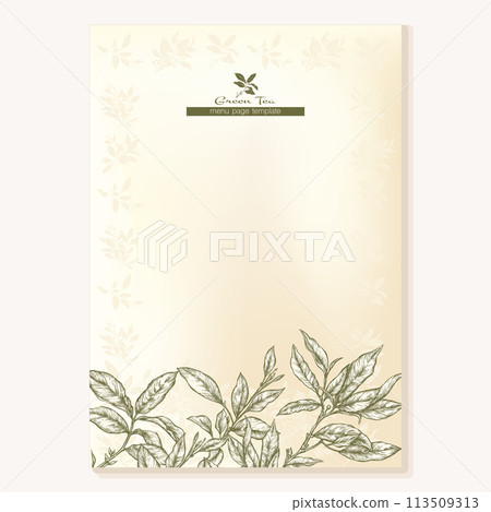 Green tea branch with leaves  113509313
