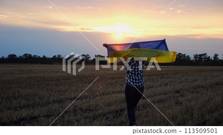 Happy lady walking on barley meadow and turning around with a raised over head flag of Ukraine. Ukrainian woman with a lifted blue-yellow banner on a beautiful sunset at background. End of war. 113509501