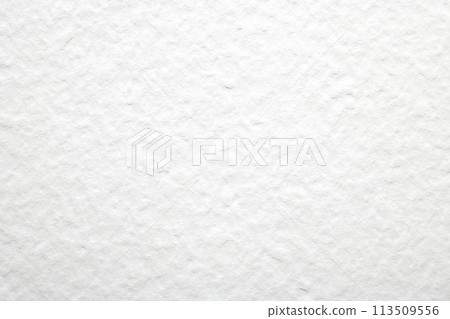 Texture of paper 113509556