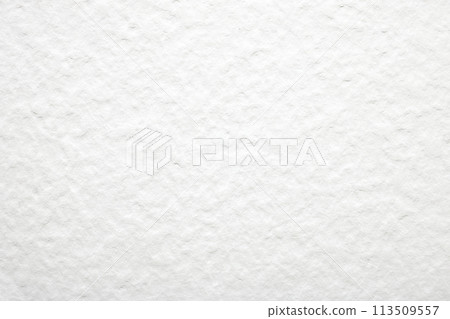 紙紋理 113509557