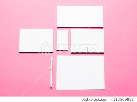 Mock up on pink background 113509938