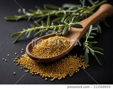 Fenugreek on a black background. 113509939