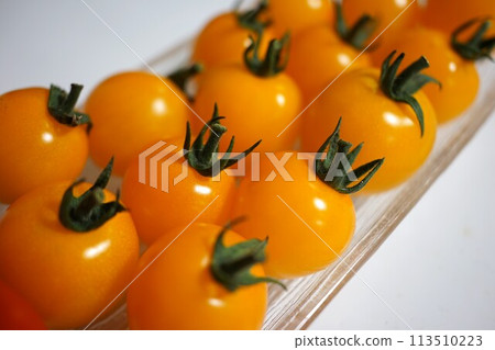 黃色迷你番茄 113510223