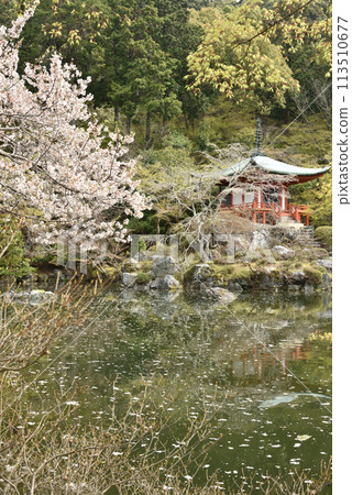 Daigoji Temple: Bentendo Hall in Spring Daigoji Temple: Bentendo Hall in Spring 113510677