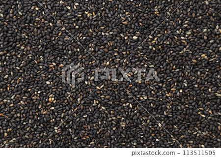 黑芝麻 113511505