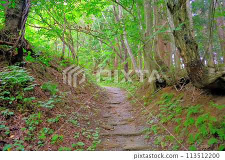 東北、遠野、都足石、遠野物語、通往神秘巨石的山路形象,岩手縣遠野市 (3) 東北、遠野、都足石、遠野物語、通往神秘巨石的山路形象,岩手縣遠野市 (3) 113512200