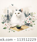 Tokyo and Cats 1 113512229