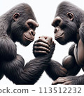 Two gorillas arm wrestling 113512232