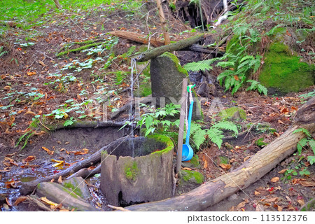 岩手縣遠野市，毗鄰東北、遠野、雜石、辨慶的午睡勝地，是可以治癒山路行走疲勞的泉水。 113512376