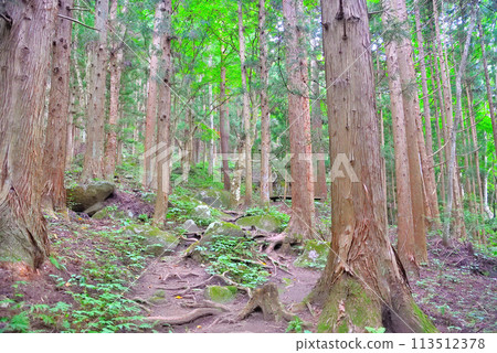 Tohoku, Tono, Tsuzukiishi, The first thing you see when walking along the mountain path is Benkei's nap spot and bench, Tono City, Iwate Prefecture 113512378