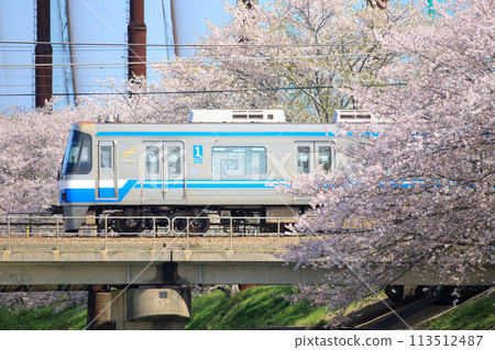 醉白雞川櫻花與福岡市交通局2000系列車（福岡市營地鐵） 113512487