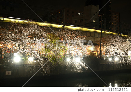 燈光櫻花和大卡川 113512551