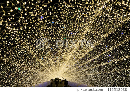 Nabana no Sato Illumination "Light Tunnel/Flower Corridor" 113512988