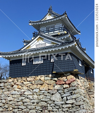 Hamamatsu Castle 113513014