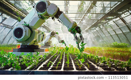 Automated Industrial Robotic Arms Picking up Plants in a Greenhouse - Generative Ai Automated Industrial Robotic Arms Picking up Plants in a Greenhouse - Generative Ai 113513051