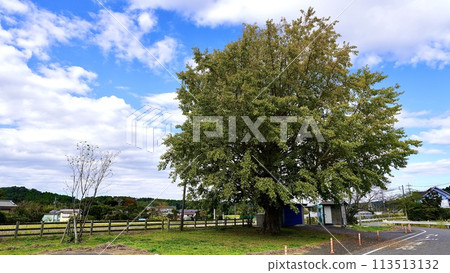 Scenery of Kazusakubo Station on the Kominato Railway 113513132