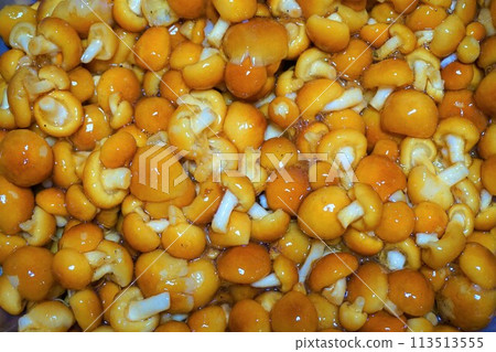 來自山形縣的滑子滑子史萊姆 113513555