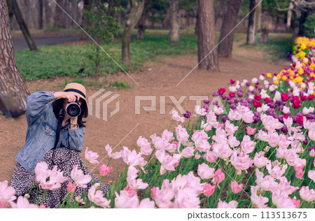A woman photographing flowers in a forest park A woman photographing flowers in a forest park 113513675