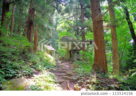 東北、遠野、雜石、為尋找遠野故事的軼事爬上山路後終於看到的雜石形象 - 岩手縣遠野市（1） 113514156