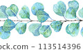 Blue eucalyptus branch, hand drawn in watercolor, seamless border, for cards, invitations, posters 113514396