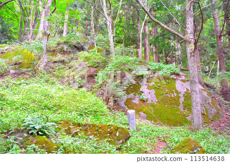 Tohoku, Tono, Tsuzukiishi, Fudoiwa, a huge rock beneath Tsuzukiishi, Tono City, Iwate Prefecture (1) 113514638