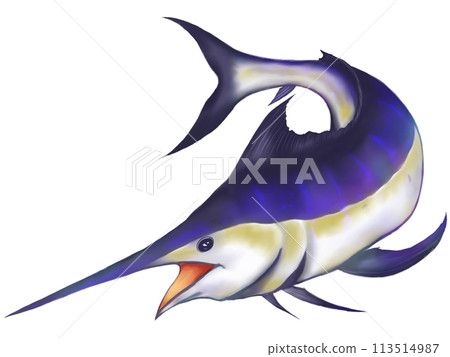 Marlin fish Marlin fish 113514987