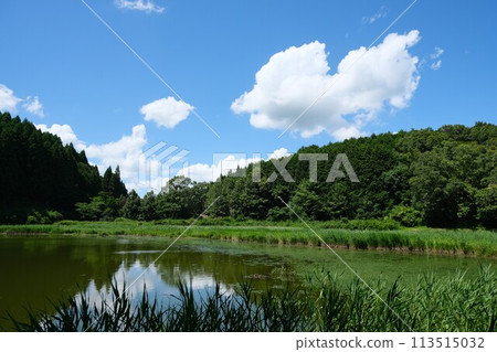 奈良縣宇田市_龍王淵東南側的風景5_2023年7月 113515032