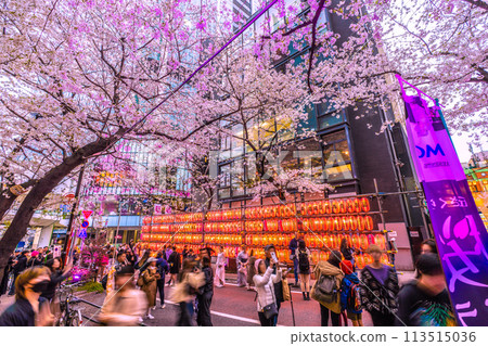 Tokyo cityscape, Japan: Cherry blossoms in full bloom on Sakurazaka in front of Shibuya Sakura Stage SHIBUYA Tower on April 5th 113515036