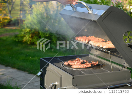 Grilled beef meat summer party Outdoors. Barbecue grill. Grilled beef meat summer party Outdoors. Barbecue grill. 113515763