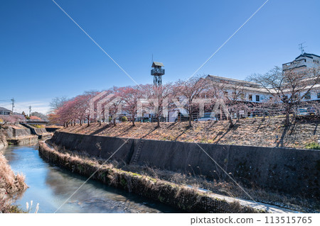Scenery around Kakegawa Castle with spring cherry blossoms in full bloom along the river (Shizuoka Prefecture) Scenery around Kakegawa Castle with spring cherry blossoms in full bloom along the river (Shizuoka Prefecture) 113515765