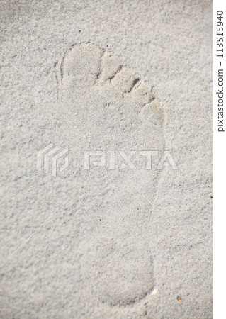 footsteps in sandy footsteps in sandy 113515940