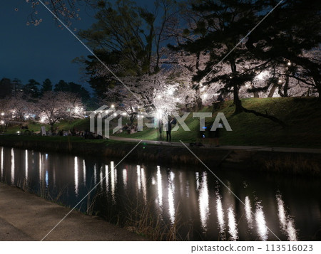 Okazaki Castle/Okazaki Park Night Cherry Blossom Illumination Okazaki Castle/Okazaki Park Night Cherry Blossom Illumination 113516023