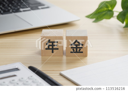 A building block with the word "pension" written on it 113516216