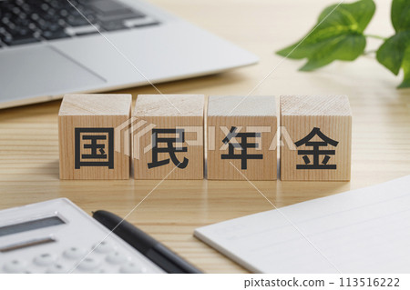 一塊積木，上面寫著國民年金。 113516222