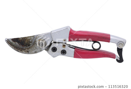 Red pruner isolated on white background Red pruner isolated on white background 113516320