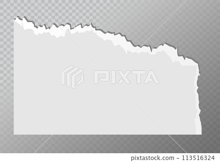 Realistic ripped white paper sheets isolated on transparent background. Torn blank pages with uneven texture. Vector Realistic ripped white paper sheets isolated on transparent background. Torn blank pages with uneven texture. Vector 113516324