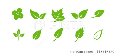 Green leaf icons set. Elements design for natural, eco, vegan. Leaves icon on isolated background. Collection green leaf. Vector Green leaf icons set. Elements design for natural, eco, vegan. Leaves icon on isolated background. Collection green leaf. Vector 113516329