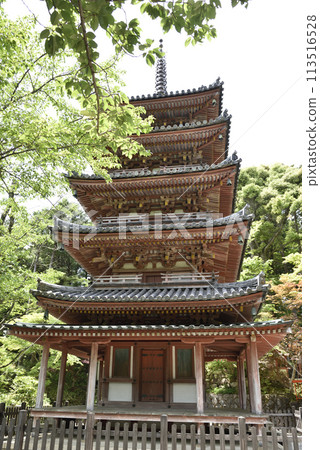 Kaijusenji Temple: National Treasure Five-Story Pagoda Kaijusenji Temple: National Treasure Five-Story Pagoda 113516528