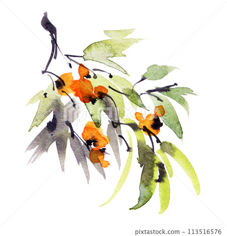 Watercolor tree branch Watercolor tree branch 113516576