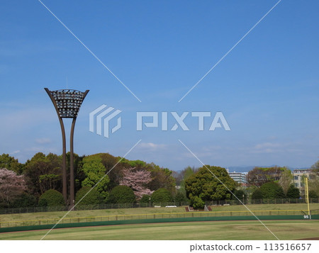 Lighting of the baseball stadium 113516657